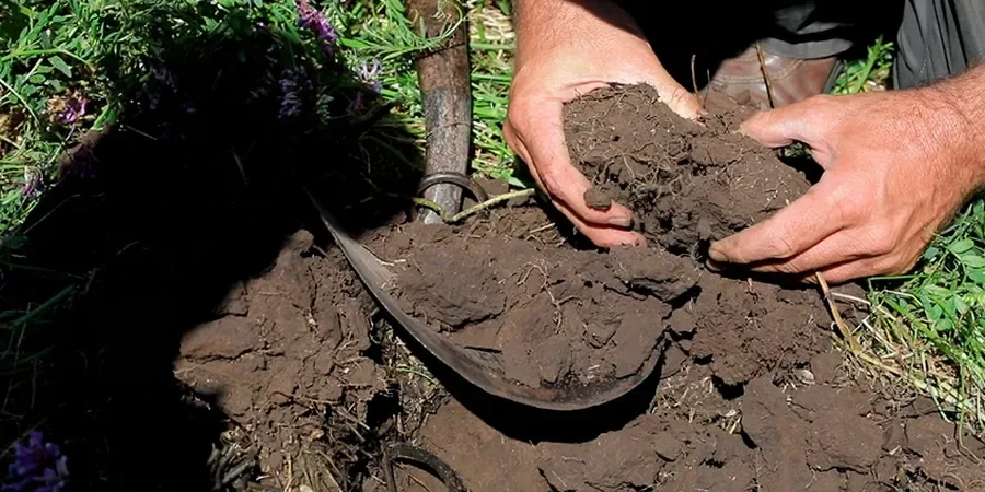 Illustrative image of Organic soil management in Birmingham Alabama